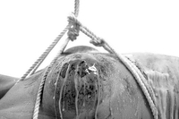 Naked chick is tied, by her master