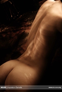 Adriana : Flesh & Oil