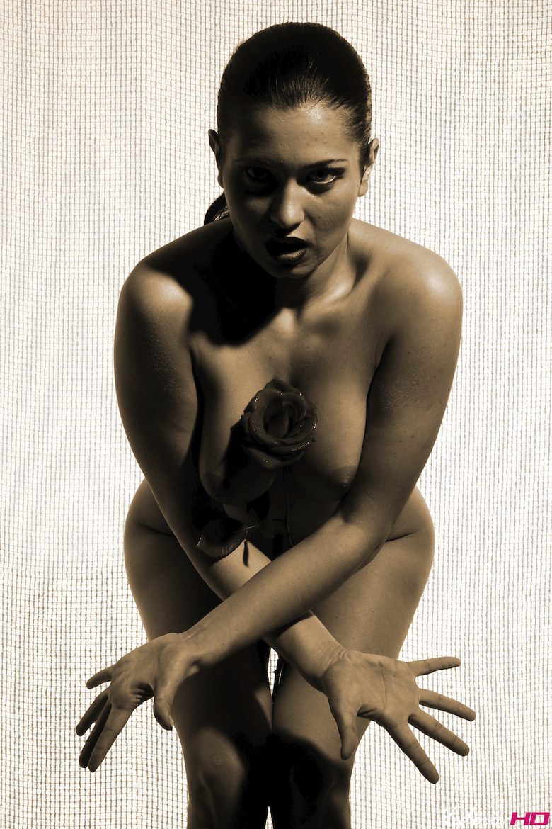 Sally's Plastica
