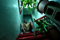 Fifi's Shoots in N.Y.C.