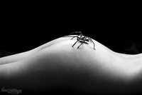Kessie - Spider Woman
