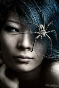 Kessie - Spider Woman