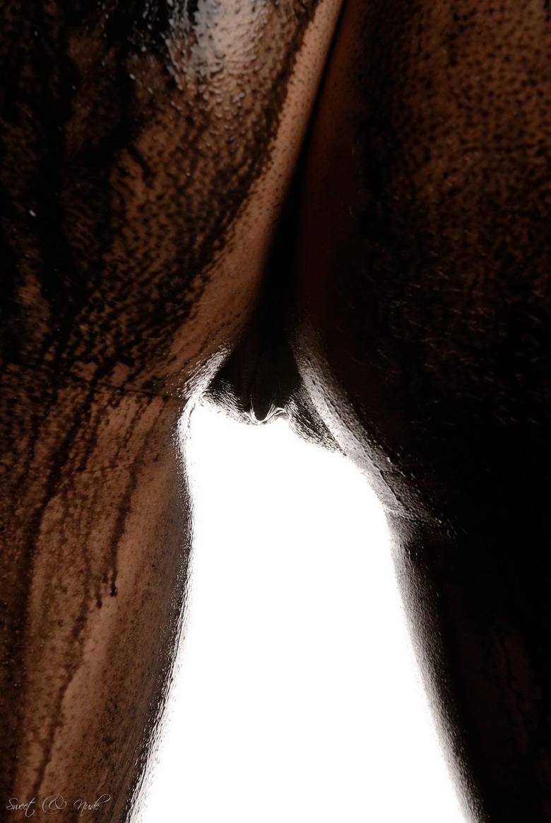 Vanessa - Black Oil Body