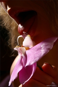 Olia - Orchid