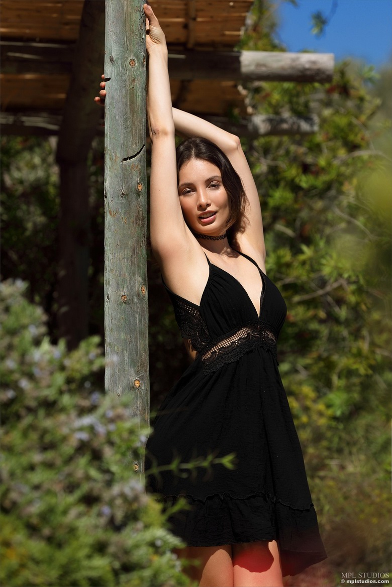 Gorgeous Calypso