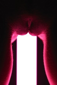 Neon Lights