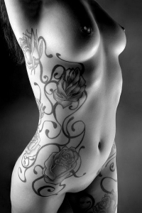 Wild Roses